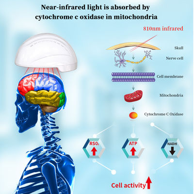 ультракрасный шлем Photobiomodulation света СИД 810nm для улучшать Alzheimer