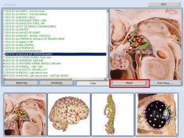 Автоматическая машина диагностики и испытания здоровья Bioresonance вектора NLS для вилл и офисов